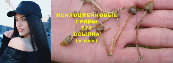 круглые Белокуриха